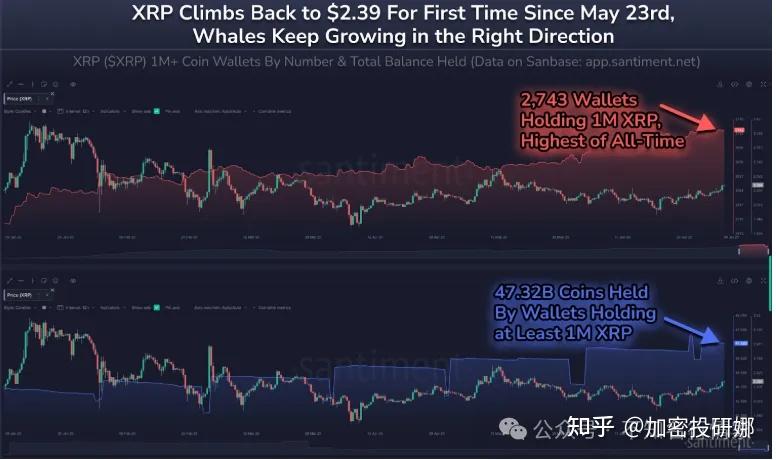 包含SHIB冲破33.51美元整数位，上涨周期会不会真的到来？的词条-开云体育官网登录