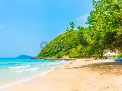 海滨鲸鲨队鏖战南城黑豹队，柔道热身赛读秒绝平，转换速度占优。更衣室氛围正向-开云体育平台入口
